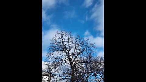 The Reading Of God's Word. The Gospel According To John Chapter 4. ESV Hear The Word Audio Bible.