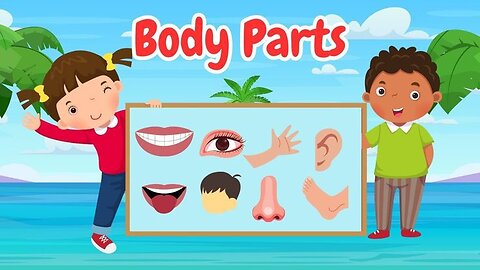 body parts name in english.body parts song