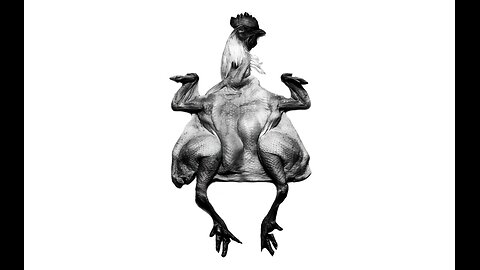 ESCENAS MEMORABLES | Poulet aux prunes