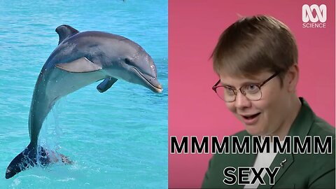 LUKE FLIPS! (Women Being Horny for DOLPHINS!?)