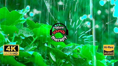 Soothing Rain & Distant Thunder for Sleep (Peaceful Night)
