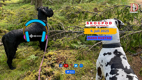 Skogpod 4. juli 2025