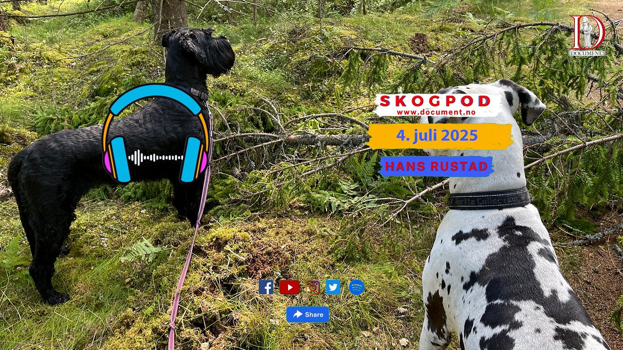 Skogpod 4. juli 2025