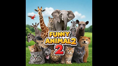 FUNNY ANIMAL 2