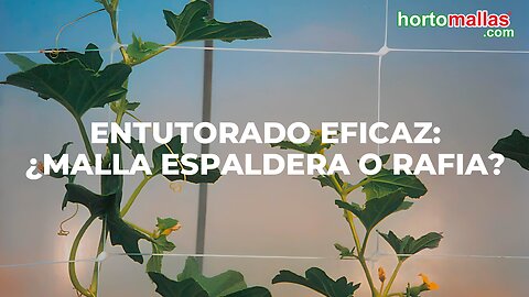 Entutorado eficaz: ¿Malla espaldera o rafia?