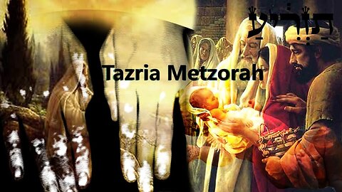 REGRESANDO A CASA AL VERDADERO OLIVO DE LA TORAH - PARASHAT #27 "TAZRIA" Y #28 (METZORAH)