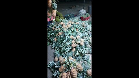My Favourite Fresh Sri Lankan Pineapple 🍍 | Sweet Taste from the Tropics!