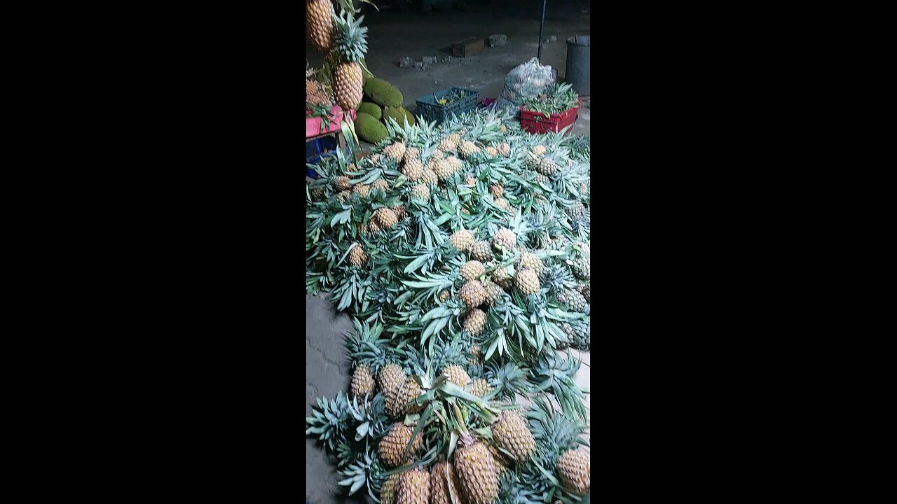 My Favourite Fresh Sri Lankan Pineapple 🍍 | Sweet Taste from the Tropics!