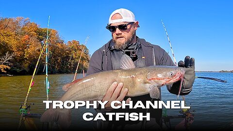 Tennessee Trophy Channel Catfish | Chasing Tennessee