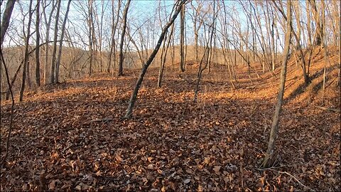 Found A New Camping Area While Squirrel Hunting
