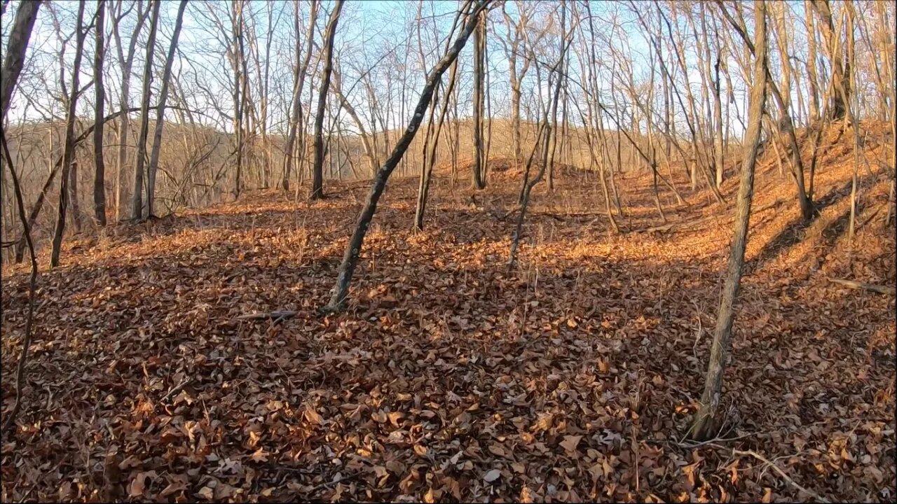 Found A New Camping Area While Squirrel Hunting