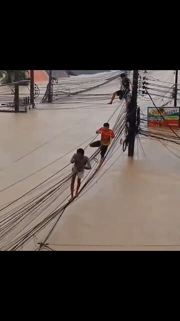 Tailandeses se suben al tendido eléctrico para escapar de las inundaciones