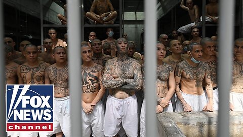Capture of MS-13 gang leader is 'a win' for the American people