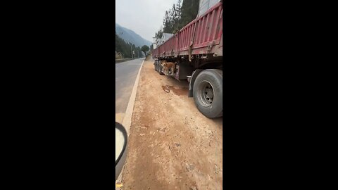 Love All Life Always #254 - Trucker Creates The Best Life Ever For His Dog Family. Just Amazing Love