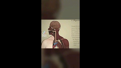 The benefits of fasting to the body