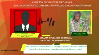 Qophii Addaa ONM-ABO Sadaasa 5-2025 itti dhiyaadhaa!