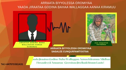 Qophii Addaa ONM-ABO Sadaasa 5-2025 itti dhiyaadhaa!