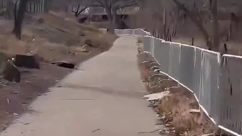 @Denver