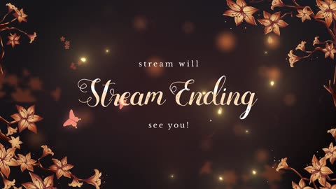 Cant Sleep? Yare Yare Come Listen To Chill Music and Watch Digital Cats Sleep