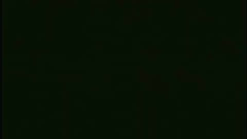 Brazilian Street Fighting Techniques