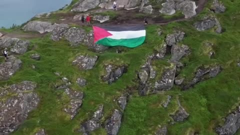 Norway man support free Palestine