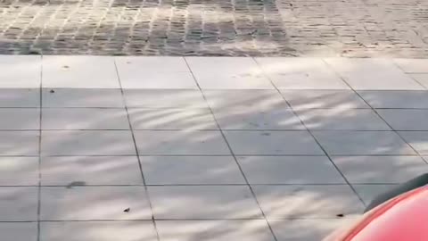 #2020MakeAWish: Choose Your K Car! #2020MakeAWish | LuxurySportsCars