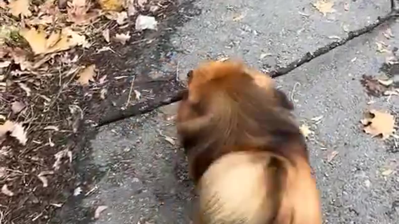 What does he doing! 😂