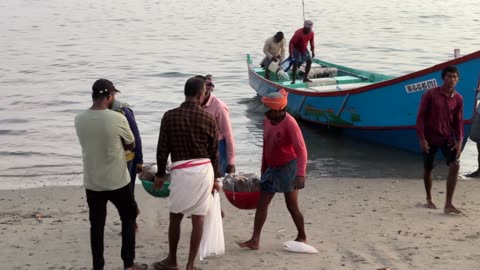 SQUID 🦑 FISHING FROM DEEP SEA