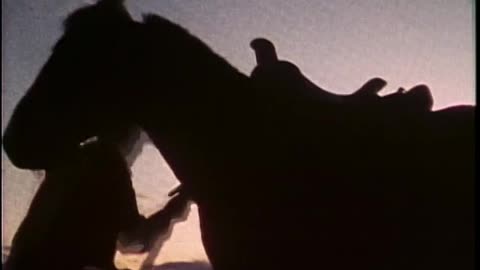 Butch Cassidy