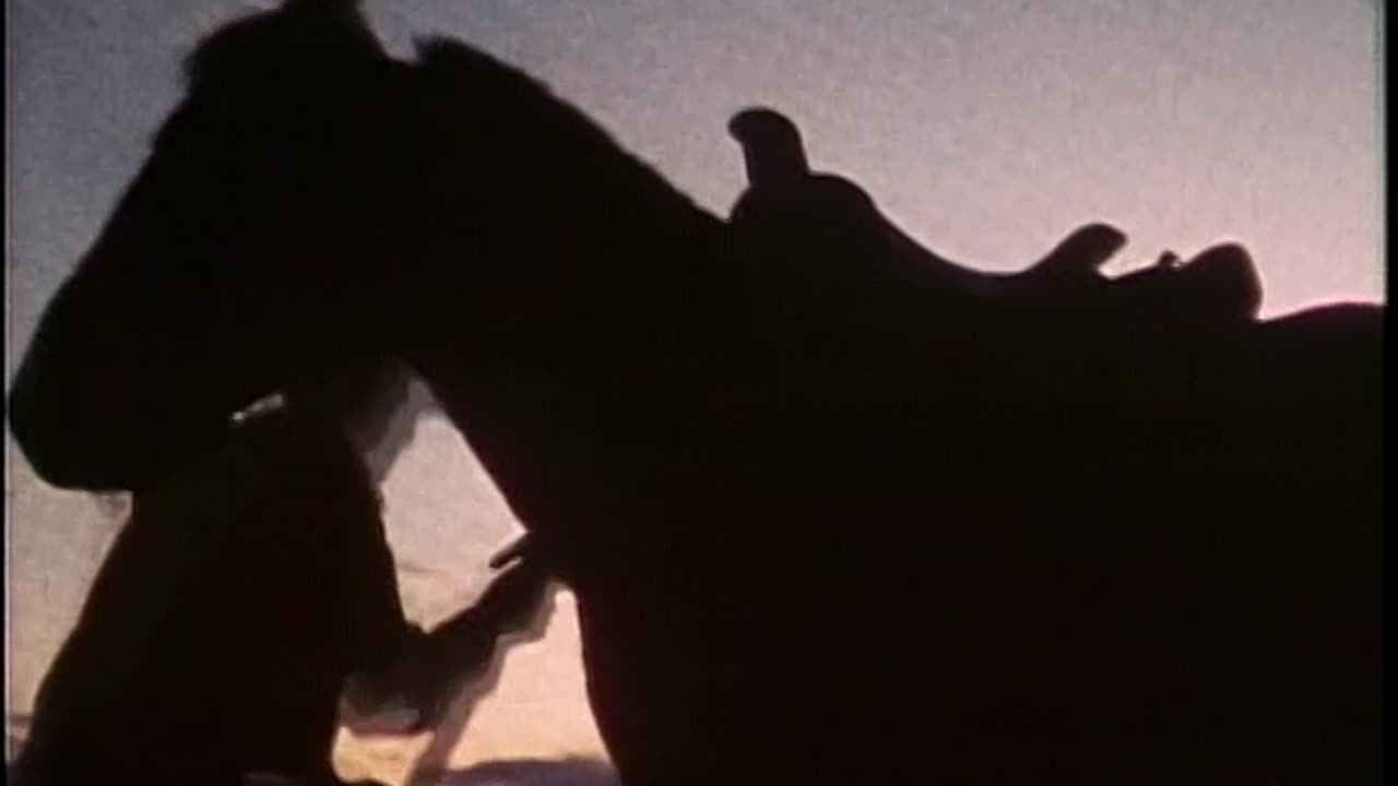 Butch Cassidy