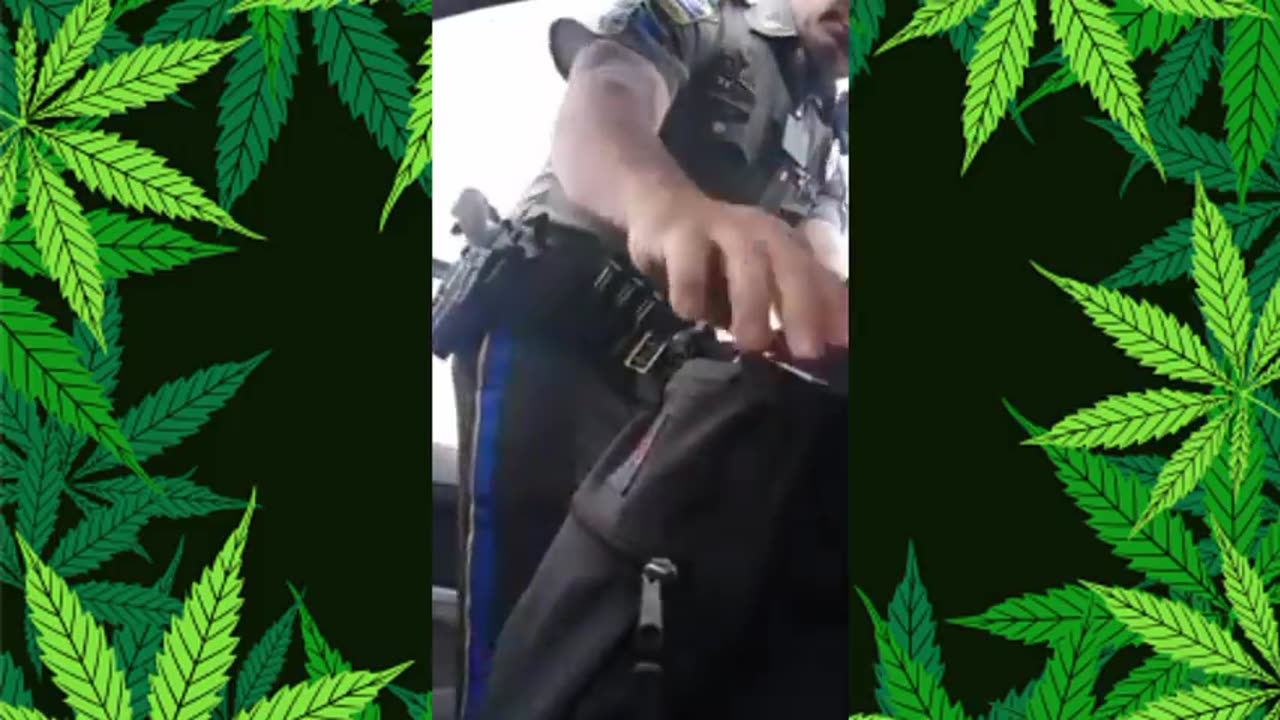 Tyrant Cop Loses his Fucking Mind During a Traffic Stop