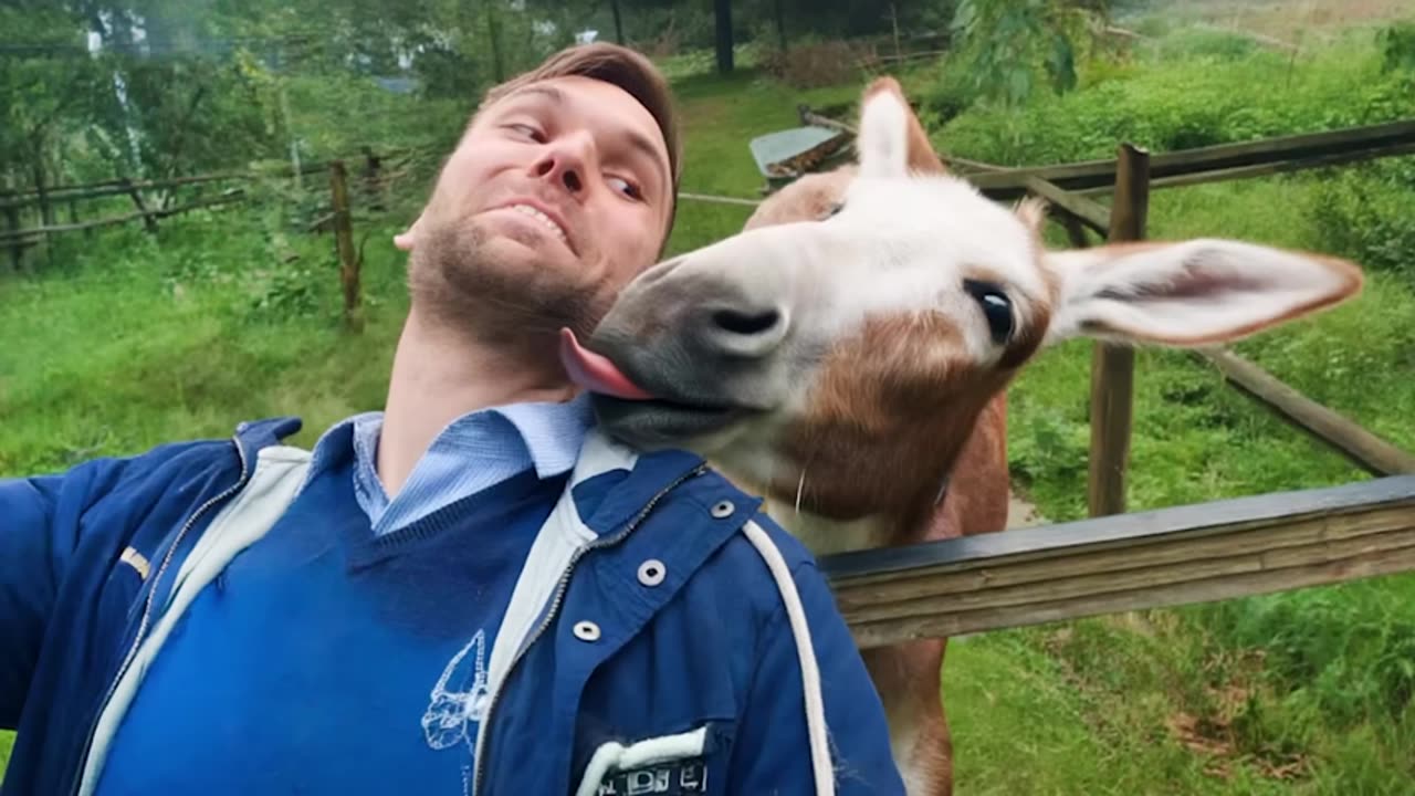 funniest-animal-videos---life-with-animals-guarantees-100x-more-laughs