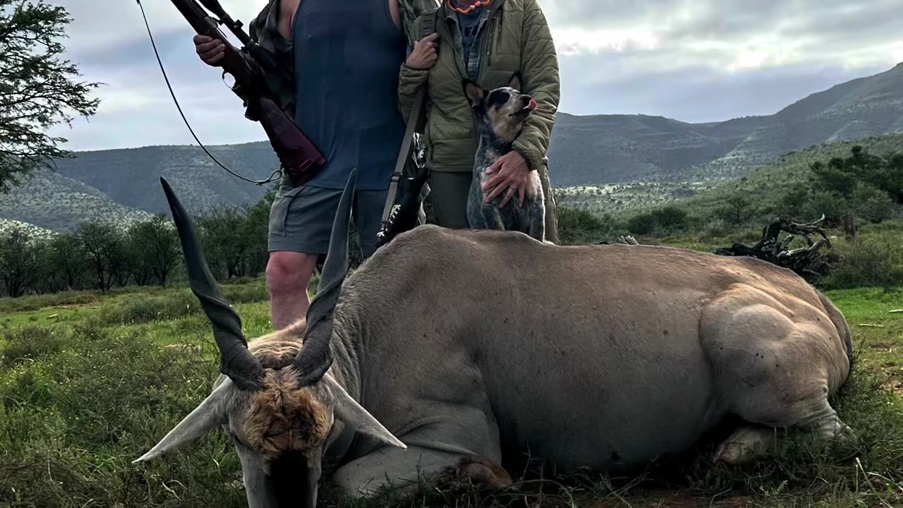 Winchester Model 70 30-06 vs. The African Eland