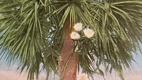 When life embraces another purpose.
