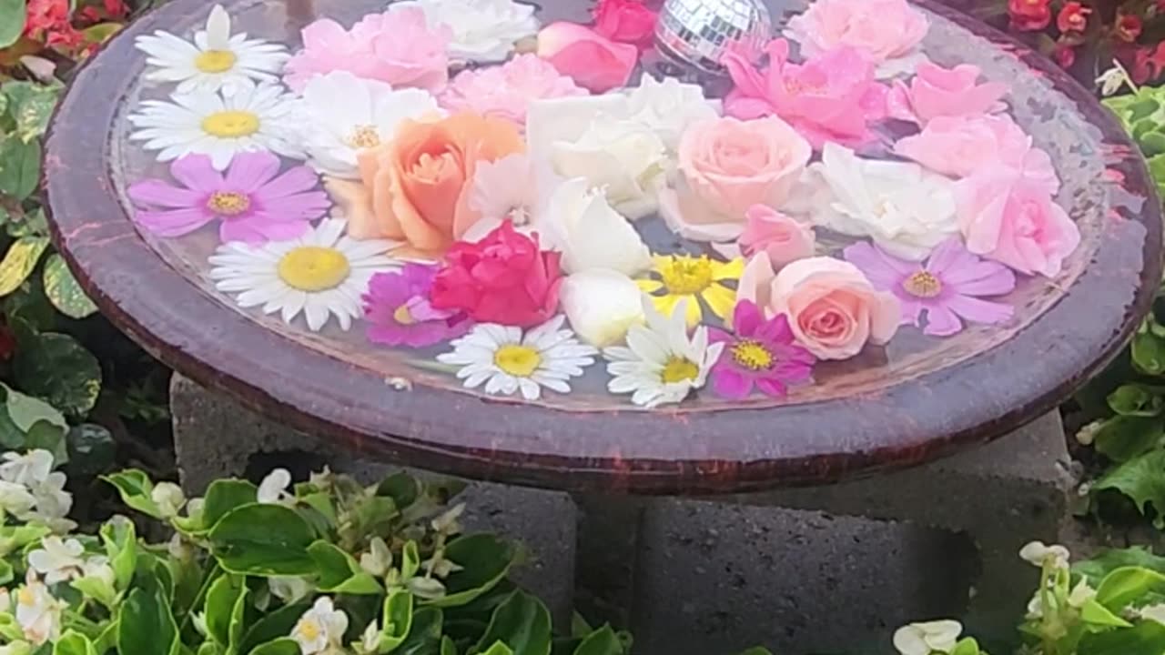 The days autumn floral selection in wind and rain