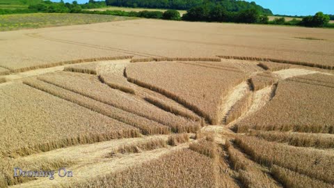 Crop Circle des Anneaux de Badbury, 19 juillet 2024