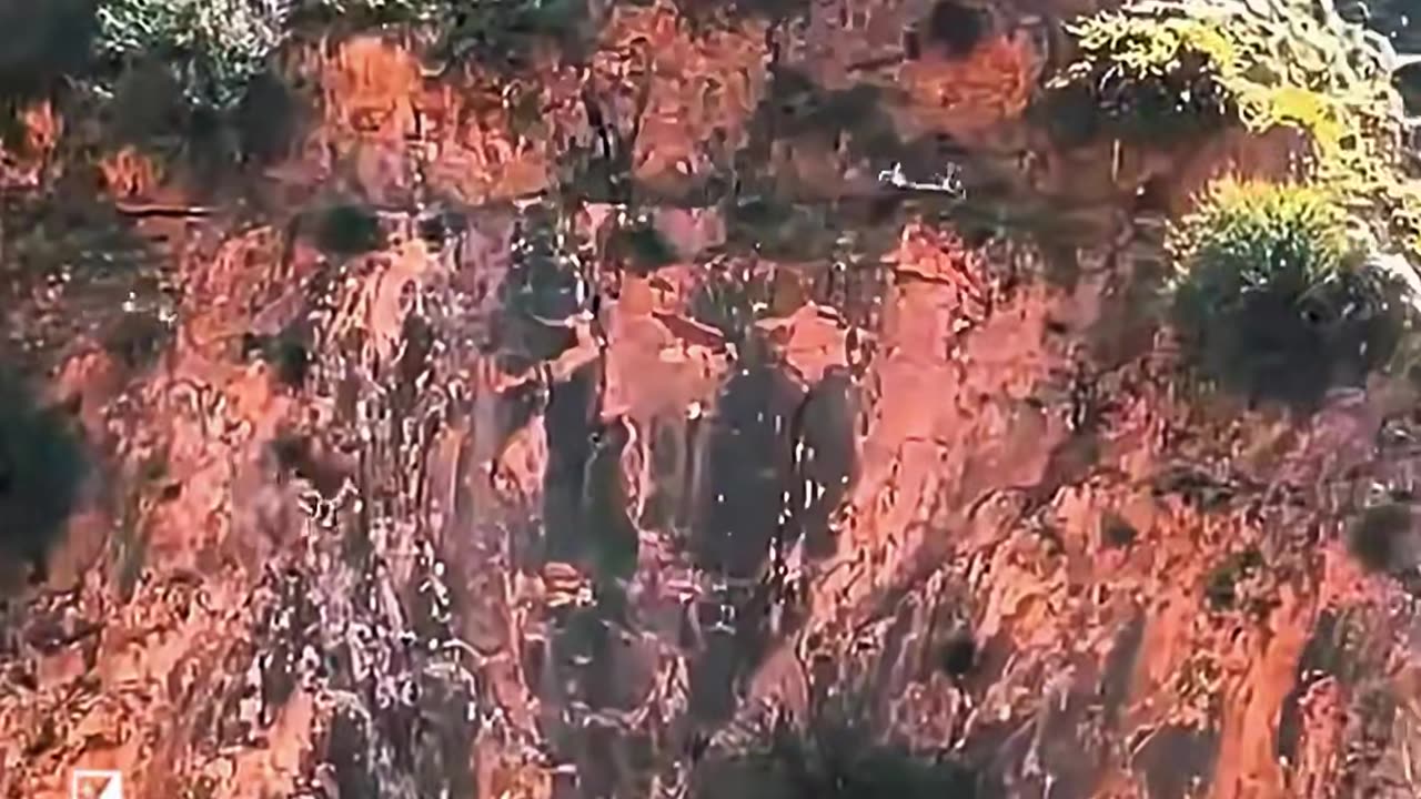 Mountain goats: the predators’ head-scratcher. #wildanimals