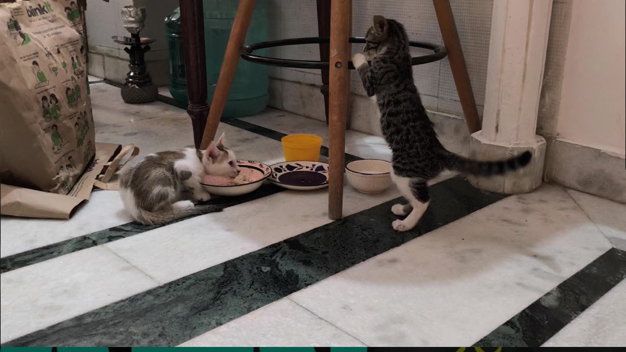 2nd Aug Wrench & Alt getting acclimatized with each other Part 7