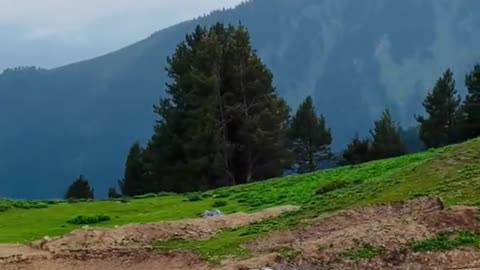 Beauty of Pakistan