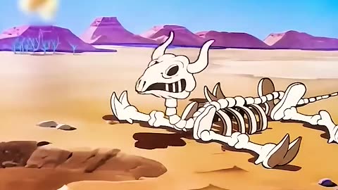 Animals funny video