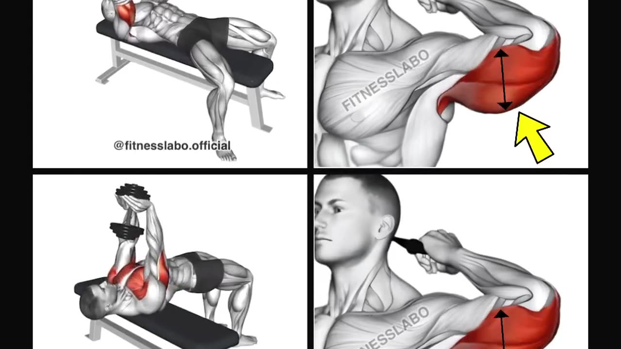 💥Dumbbell Triceps Workout ✅...