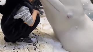 😍🐾 You Won't Believe How Adorable This Is! Cute Animal Moment | FunFM