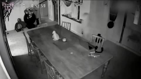 👻😱 Ghost in the Dining Room! | TheHauntingHour