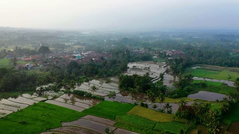 Free HD Drone Video - Mountain Slopes Used As Rice Terraces For Farming