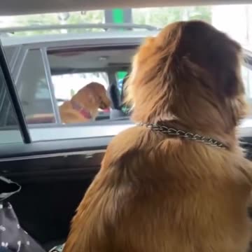 Aww.. She’s blushing.. 😊