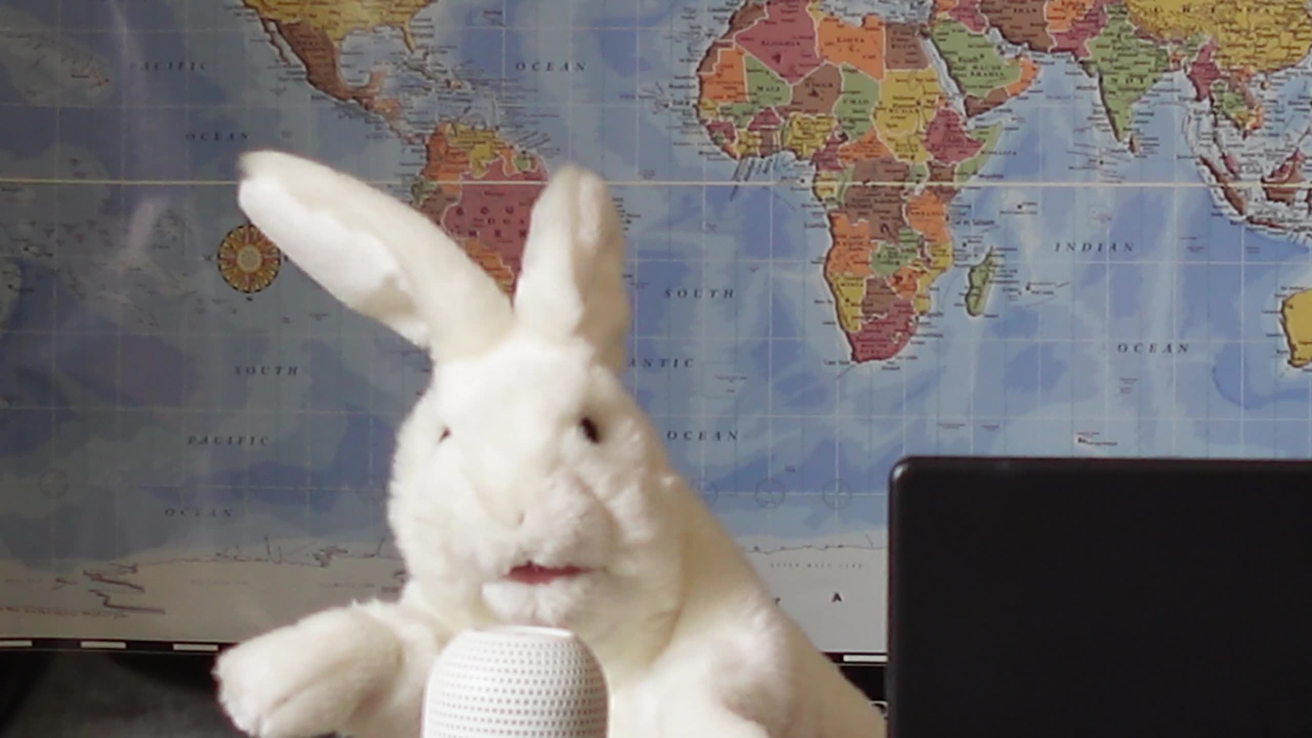 CGPA Puppet News CALLS OUT MAINSTREAM MEDIA FOR BURYING BRUTAL MURDER STORY.