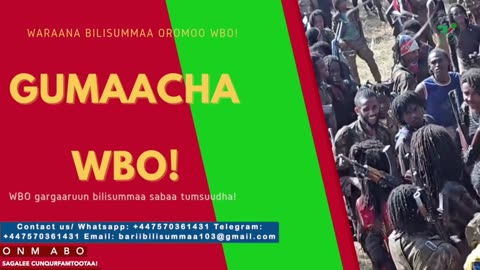 Gabaasa Gumaacha ONM-ABO Adoolessa 13-2025 itti dhiyaadhaa!