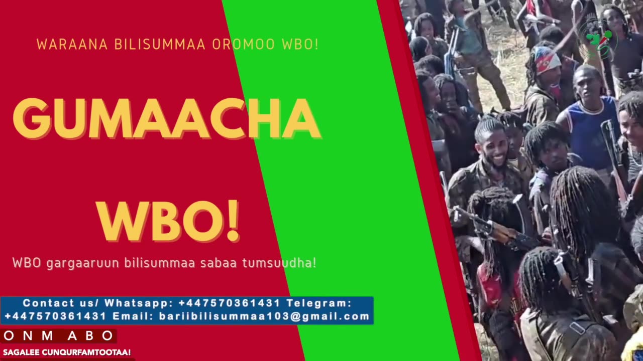Gabaasa Gumaacha ONM-ABO Adoolessa 13-2025 itti dhiyaadhaa!