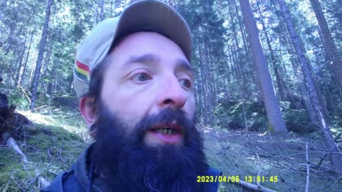 ANCORA MOLTISSIMA LEGNA DAL BOSCO (5 APRILE 2023) [III° PARTE]