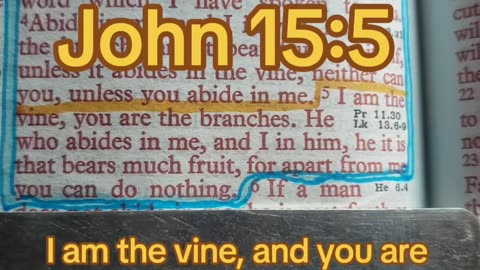 I Am The Vine, You Are The Branches..